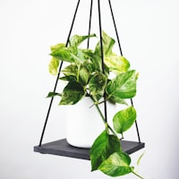 英格兰英超曼城队足球比赛在线直播